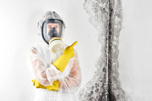 Best Fire Damage Restoration  in Susanville, CA